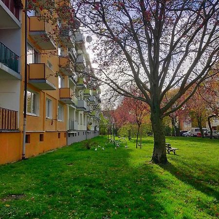 Muszelka Apartment Kołobrzeg Exterior foto